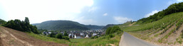 FZ017267-76 Panorama Burg Thurant.jpg